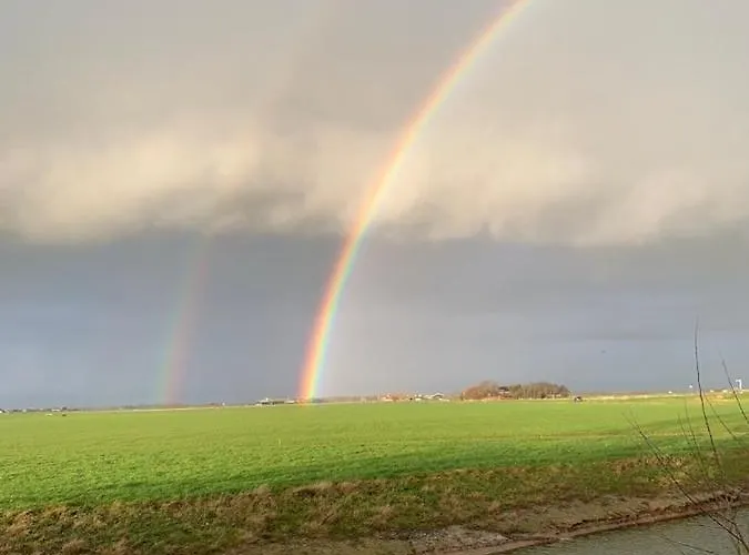Guest With Terrace At The Wadden Sea Konukevi Oosterend (Texel)